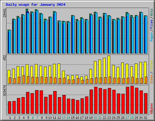 Daily usage for January 2024