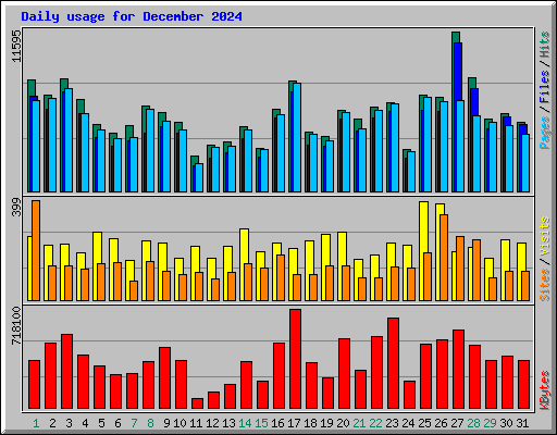 Daily usage for December 2024