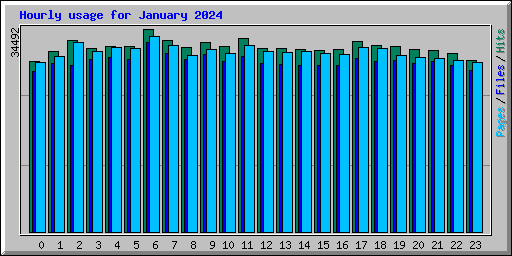 Hourly usage for January 2024