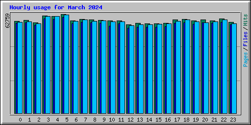 Hourly usage for March 2024