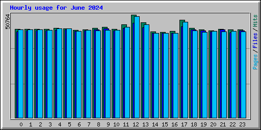 Hourly usage for June 2024