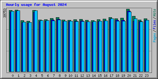 Hourly usage for August 2024