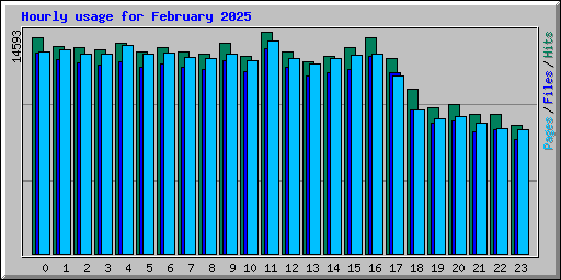 Hourly usage for February 2025