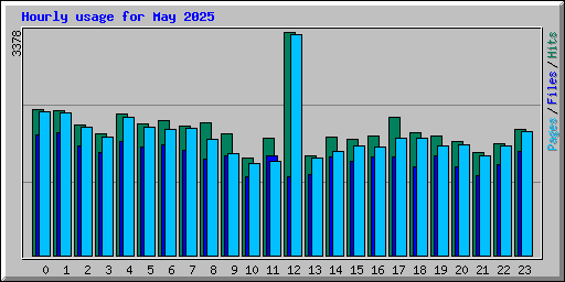 Hourly usage for May 2025
