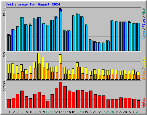 Daily usage for August 2024