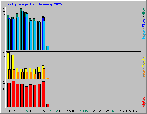 Daily usage for January 2025