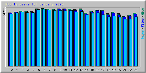 Hourly usage for January 2023