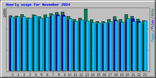 Hourly usage for November 2024