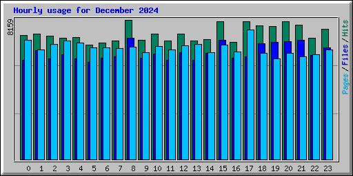 Hourly usage for December 2024