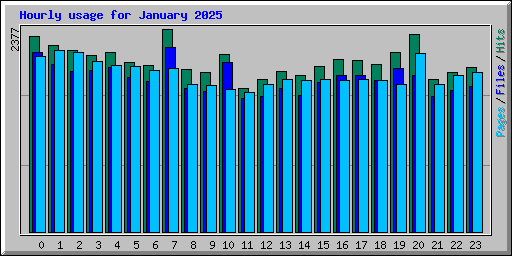 Hourly usage for January 2025