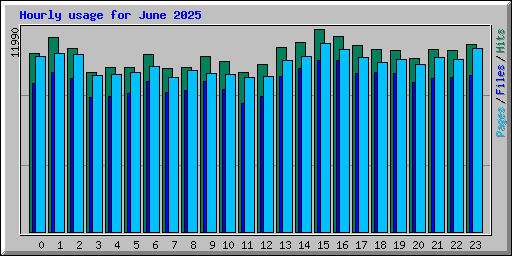 Hourly usage for June 2025