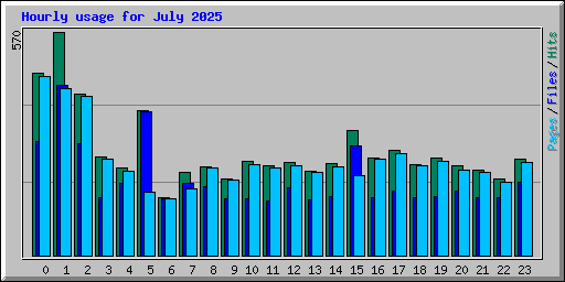 Hourly usage for July 2025